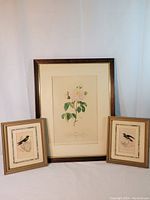 Full view of the three framed prints arranged side by side, showing the three artwork pieces with their frames.