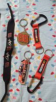Top view photo showing four Nascar themed key chains including a black lanyard with #88 logo, orange #88 emblem, #14 car shaped key chain, and orange strap key chain with carabiner.