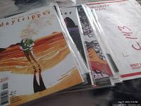 Photo showing Daytripper comic book covers in protective sleeves laid out with a Priority Mail envelope underneath.