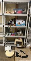 Wide shot of metal shelves holding various pet accessories, cleaning supplies, pet carrier, party balloons, and cat-themed decorations.
