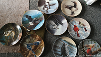 Photo of several collector plates featuring detailed bird artwork, including eagles, cardinals, loons, and other species, arranged on a carpeted floor.