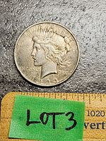 Obverse side of the dated 1923 Peace Dollar showing Lady Liberty with rays extending from her head, some wear and tarnishing visible on silver surface.
