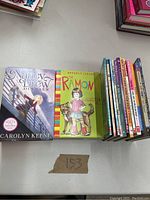 Photo of all books in the lot showing front covers and titles clearly for identification.