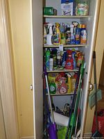 Photo showing shelves inside closet with multiple cleaning bottles and cans, assorted sprays, cleaners, and pest control products with mops leaning in front.