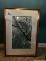 Full view of framed print showing a bobcat on birch tree branches in a forest setting.