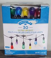 Front view of packaging showing multicolor bulbs and product info