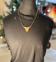 Full view of the necklace worn on a mannequin showcasing the pendant and chain length.