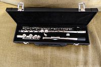 Open black hard case with silver-colored beginner flute inside.