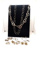 Necklaces displayed on black stand with earrings spread below, showing variety of link styles and metal tones.