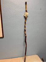 Full-length view of walking stick standing upright against wall
