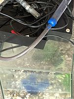 Top view of a glass fish tank containing decorative white rocks, a heater, digital thermometer, and tubing for water circulation.