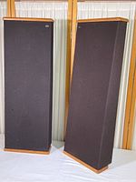 Front and slightly angled view of two tall rectangular DCM tower speakers with black grill cloth and oak top and bottom trim standing on white table with curtain backdrop.