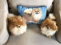 Two Pomeranian plush toys and the Pomeranian decorative pillow displayed on a chair.