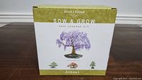 Front of the box showing the Nature's Blossom Sow & Grow Bonsai Seed Starter Kit with a bonsai illustration.