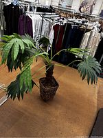 Artificial palm plant with broad green leaves and woven basket.