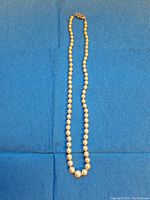 Full view of necklace laid flat on blue cloth showing overall strand and clasp position