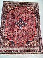 Full view of rug showing central medallion and border pattern