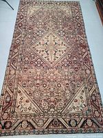 Full view of the Persian rug showing the central geometric medallion and surrounding floral and tribal motifs in subdued colors.