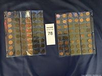 Two plastic coin holder pages with Canadian pennies in each pocket.