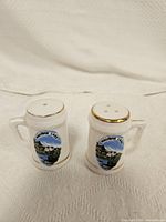 Two white ceramic salt and pepper shakers with Maligne Lake design, gold trim, and handles, on white fabric background