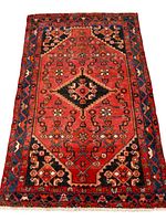 Full view of rug laid flat, showing overall pattern and wear