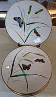 Top view of two butterfly decorated plates showing colorful butterfly illustrations, grass, and gold rim on white china.