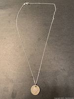 Full view of the silver chain necklace with coin pendant.