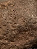 Close-up of the pitted, dark brown iron meteorite surface showing natural texture and oxidation.