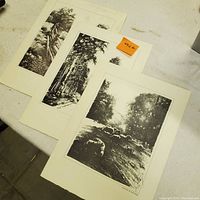 Photo showing all three lithographs together on a surface, allowing view of images and signatures.