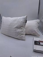 Two white feather/down pillows of different sizes on a white surface, showing overall appearance and condition.
