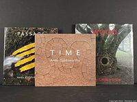 Photo showing front covers of all three books arranged side by side: 'Passage', 'Time', and 'Wood'.