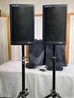 Front view of both speakers mounted on tripod stands with cables laid behind