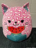 Front view of the pink watermelon cat Squishmallow plush showing face, ears, and watermelon held.