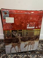 Closed box of Home Accents Holiday brand 2-piece lighted deer and doe set with red packaging