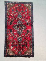 Full view of the entire rug showing design and color pattern