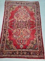 Full view of rug face showing overall design and shape