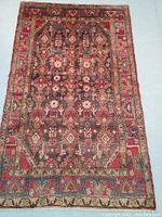 Full front view of rug laid flat on floor showing overall pattern and condition