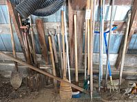 Wide view of assorted yard tools leaning against a wall in a shed showing rakes, shovels, broom, and pick axe with wooden and metal handles.
