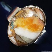 Close-up of the oval oyster turquoise stone, showing natural color variations and veining.