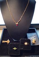 Photo showing a gold-tone chain necklace with a ruby-like pendant, several rings, a gold-tone toad brooch, and a small book titled 'The Legend of the Horny Toad'.