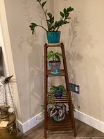 Full view of wooden plant stand holding four houseplants in different ceramic pots