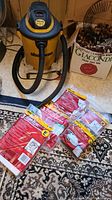 Shop Vac unit with hose and filter bags displayed on rug next to a box.