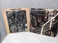 Two vinyl record album covers side by side showing the lot contents: Elmore James and Mississippi Fred McDowell albums.