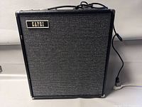 Front view of black fabric-covered speaker panel with Capri nameplate.