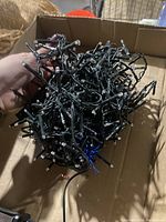 Photo of tangled LED string lights in black wire off, showing the bulbs and wiring.