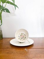 Teacup with floral pattern displayed on matching saucer on wooden surface with plant in background