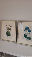 Two framed botanical prints hung on a wall, one with orange flowers and the other blue flowers.