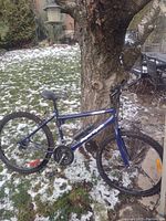 Full side view of blue mountain bike leaning against a tree in an outdoor snowy yard. Bike has flat tires and visible wear on the frame and tires.