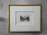 Framed vintage colored etching showing entire artwork and ornate gold frame.