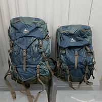 Two Gregory Deva 60L backpacks standing upright side by side, showing front with straps and compartments.